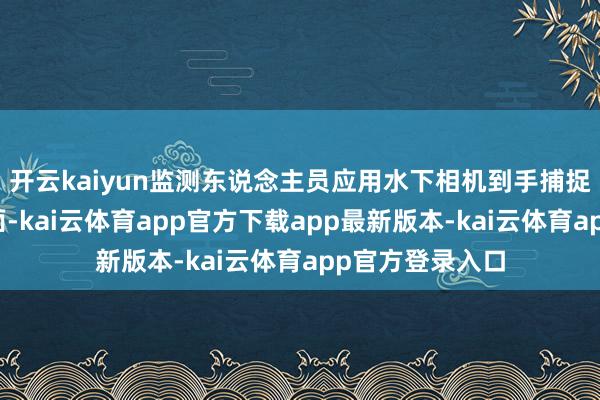 开云kaiyun监测东说念主员应用水下相机到手捕捉到这一额外画面-kai云体育app官方下载app最新版本-kai云体育app官方登录入口