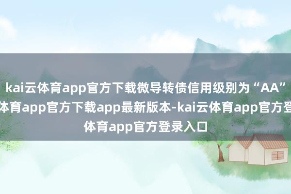 kai云体育app官方下载微导转债信用级别为“AA”-kai云体育app官方下载app最新版本-kai云体育app官方登录入口
